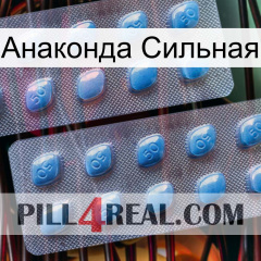 Анаконда Сильная viagra4